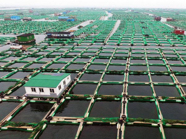 畜牧養(yǎng)殖應(yīng)用成功案例